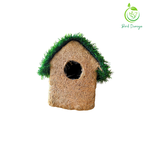 bird nest, beautiful bird house, birdhouse, coir bird house,teracotta bird feeder, teracotta products, teracotta, art, home decor,bird feeder, best bird feeder, hexagon shaped bird feeder, birds feed, birdfood, good quality,all seasoned, save birds, birdwatching, birdlove, birds of india,urban birdwatching, birding, nesting material, wooden bird feeder, ecofriendly, glass, recycled ,