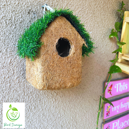 bird nest, beautiful bird house, birdhouse, coir bird house,teracotta bird feeder, teracotta products, teracotta, art, home decor,bird feeder, best bird feeder, hexagon shaped bird feeder, birds feed, birdfood, good quality,all seasoned, save birds, birdwatching, birdlove, birds of india,urban birdwatching, birding, nesting material, wooden bird feeder, ecofriendly, glass, recycled ,
