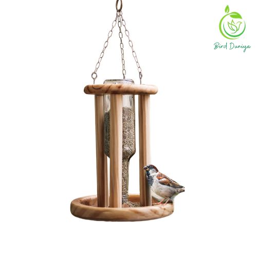 teracotta bird feeder, teracotta products, teracotta, art, home decor,bird feeder, best bird feeder, hexagon shaped bird feeder, birds feed, birdfood, good quality,all seasoned, save birds, birdwatching, birdlove, birds of india,urban birdwatching, birding, nesting material, wooden bird feeder, ecofriendly, glass, recycled 