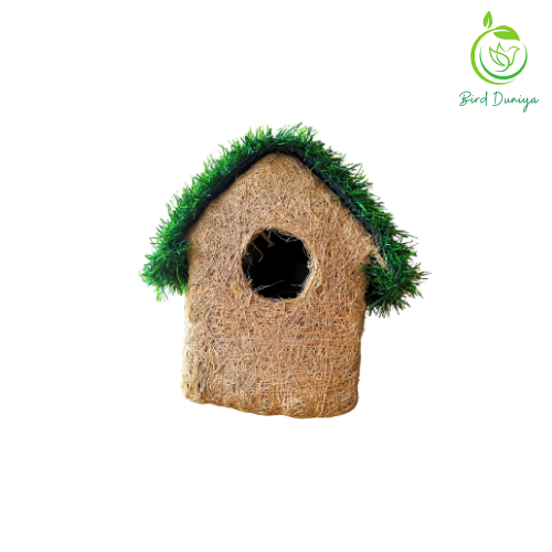 bird nest, beautiful bird house, birdhouse, coir bird house,teracotta bird feeder, teracotta products, teracotta, art, home decor,bird feeder, best bird feeder, hexagon shaped bird feeder, birds feed, birdfood, good quality,all seasoned, save birds, birdwatching, birdlove, birds of india,urban birdwatching, birding, nesting material, wooden bird feeder, ecofriendly, glass, recycled , 