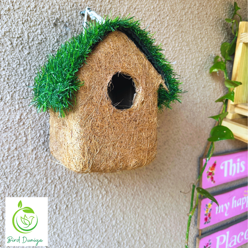 bird nest, beautiful bird house, birdhouse, coir bird house,teracotta bird feeder, teracotta products, teracotta, art, home decor,bird feeder, best bird feeder, hexagon shaped bird feeder, birds feed, birdfood, good quality,all seasoned, save birds, birdwatching, birdlove, birds of india,urban birdwatching, birding, nesting material, wooden bird feeder, ecofriendly, glass, recycled , 